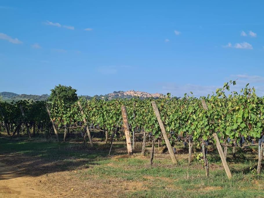 Montepulciano - La Casetta Del Pian Delle Noci Аквавива Экстерьер фото