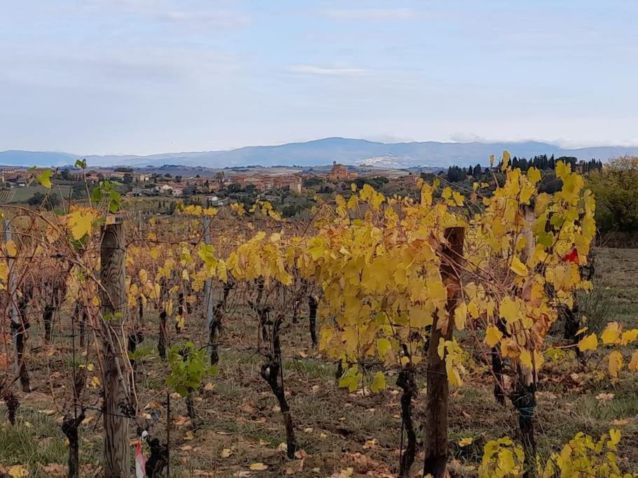 Montepulciano - La Casetta Del Pian Delle Noci Аквавива Экстерьер фото