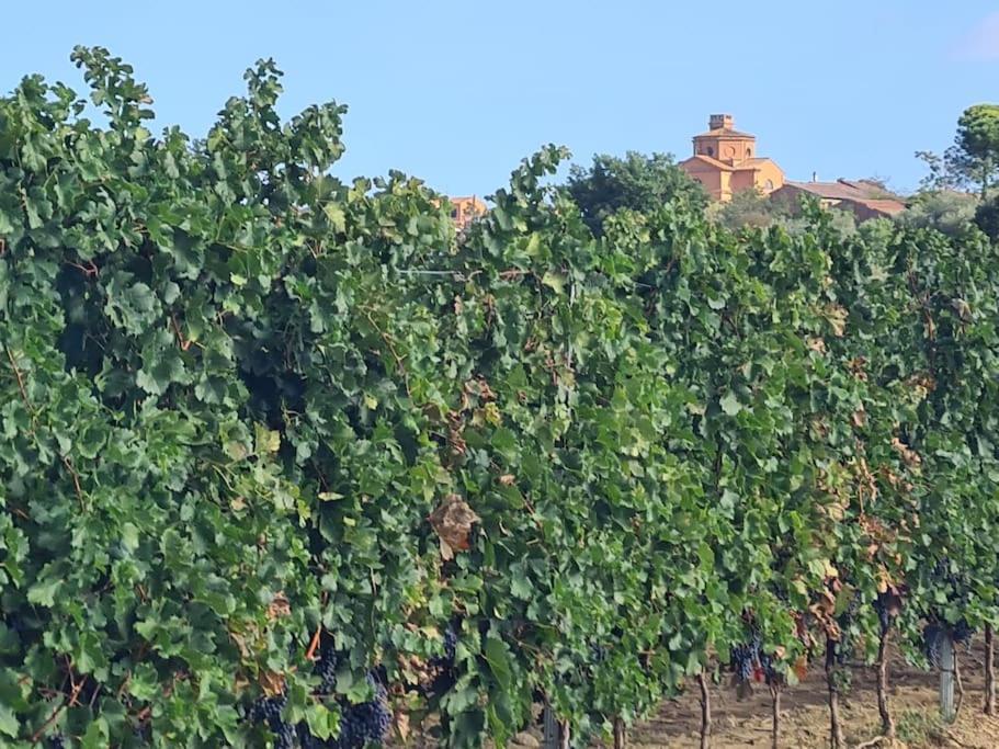 Montepulciano - La Casetta Del Pian Delle Noci Аквавива Экстерьер фото