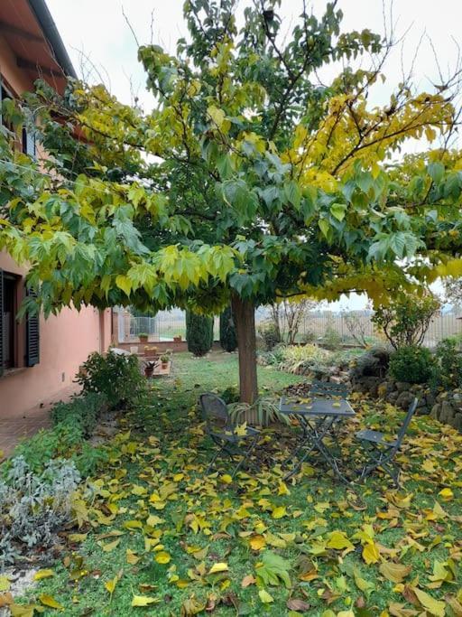 Montepulciano - La Casetta Del Pian Delle Noci Аквавива Экстерьер фото
