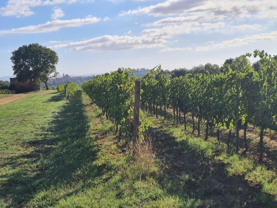 Montepulciano - La Casetta Del Pian Delle Noci Аквавива Экстерьер фото