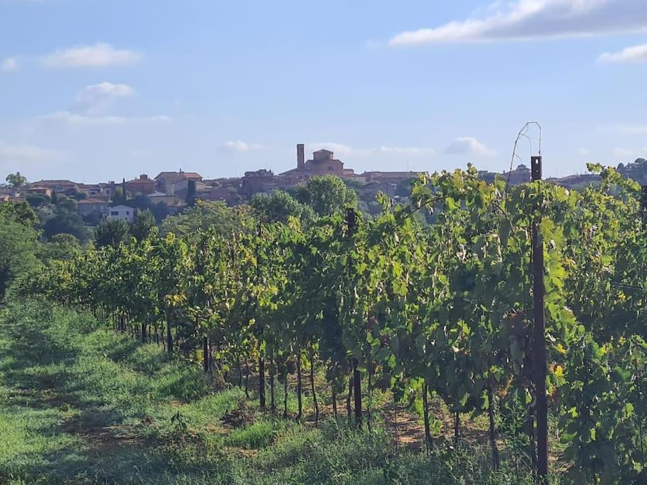 Montepulciano - La Casetta Del Pian Delle Noci Аквавива Экстерьер фото