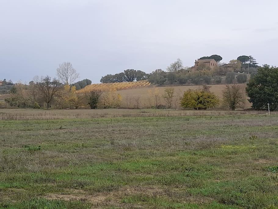 Montepulciano - La Casetta Del Pian Delle Noci Аквавива Экстерьер фото