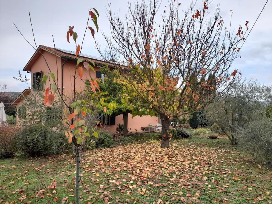 Montepulciano - La Casetta Del Pian Delle Noci Аквавива Экстерьер фото