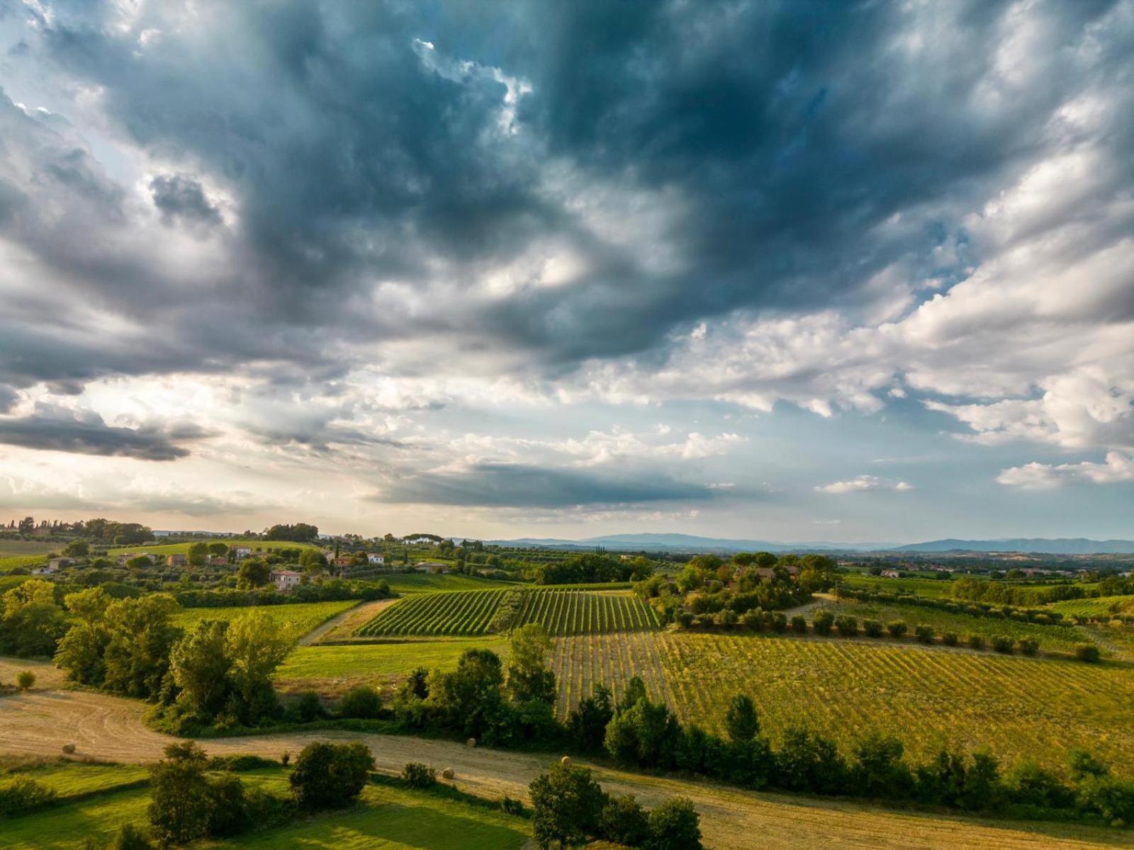 Montepulciano - La Casetta Del Pian Delle Noci Аквавива Экстерьер фото