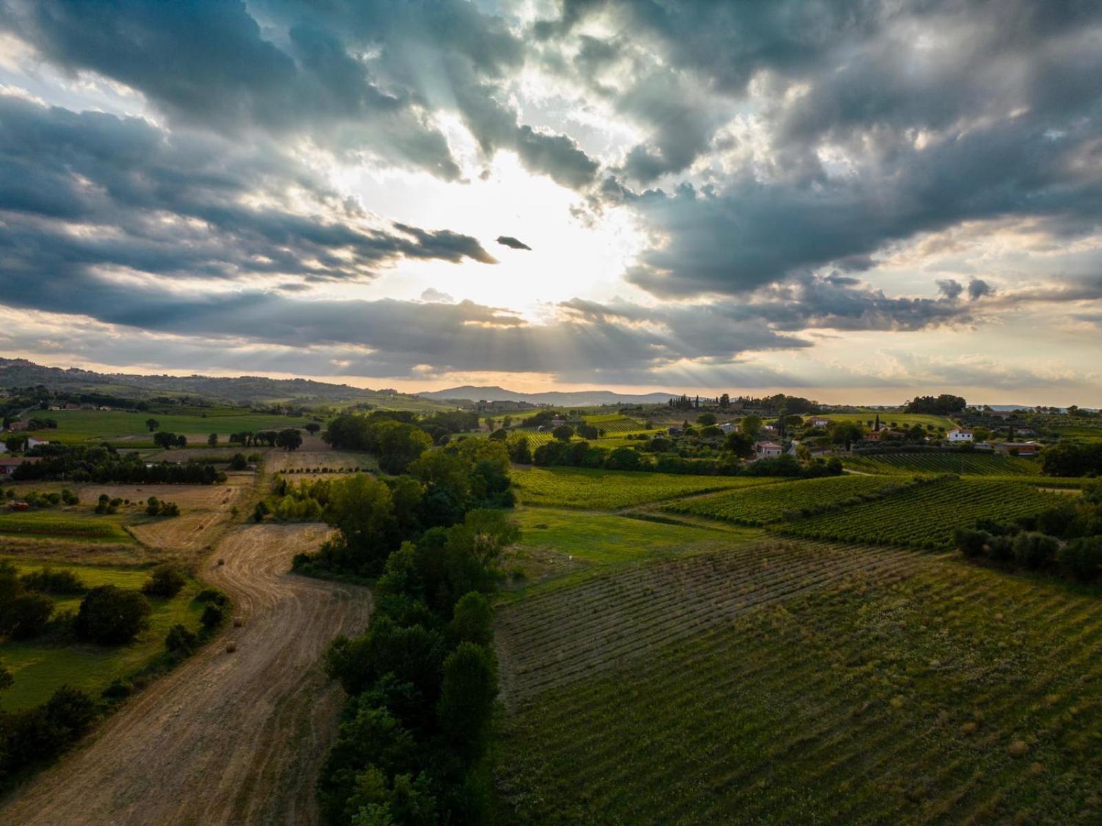 Montepulciano - La Casetta Del Pian Delle Noci Аквавива Экстерьер фото