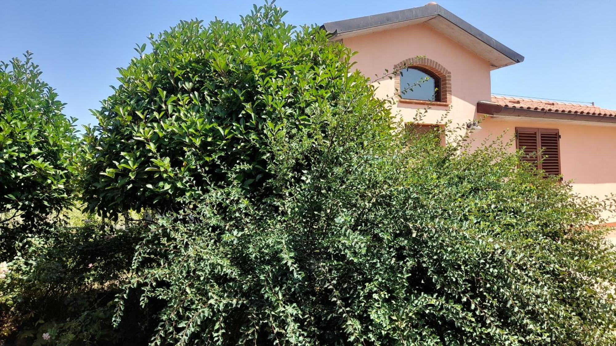 Montepulciano - La Casetta Del Pian Delle Noci Аквавива Экстерьер фото